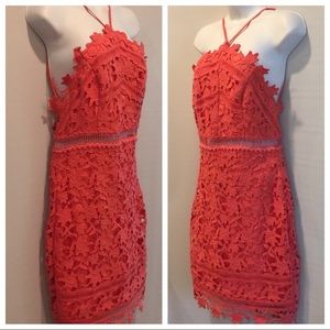 NWT ASTR the Label Lace Body-Con Dress Sz M Coral
